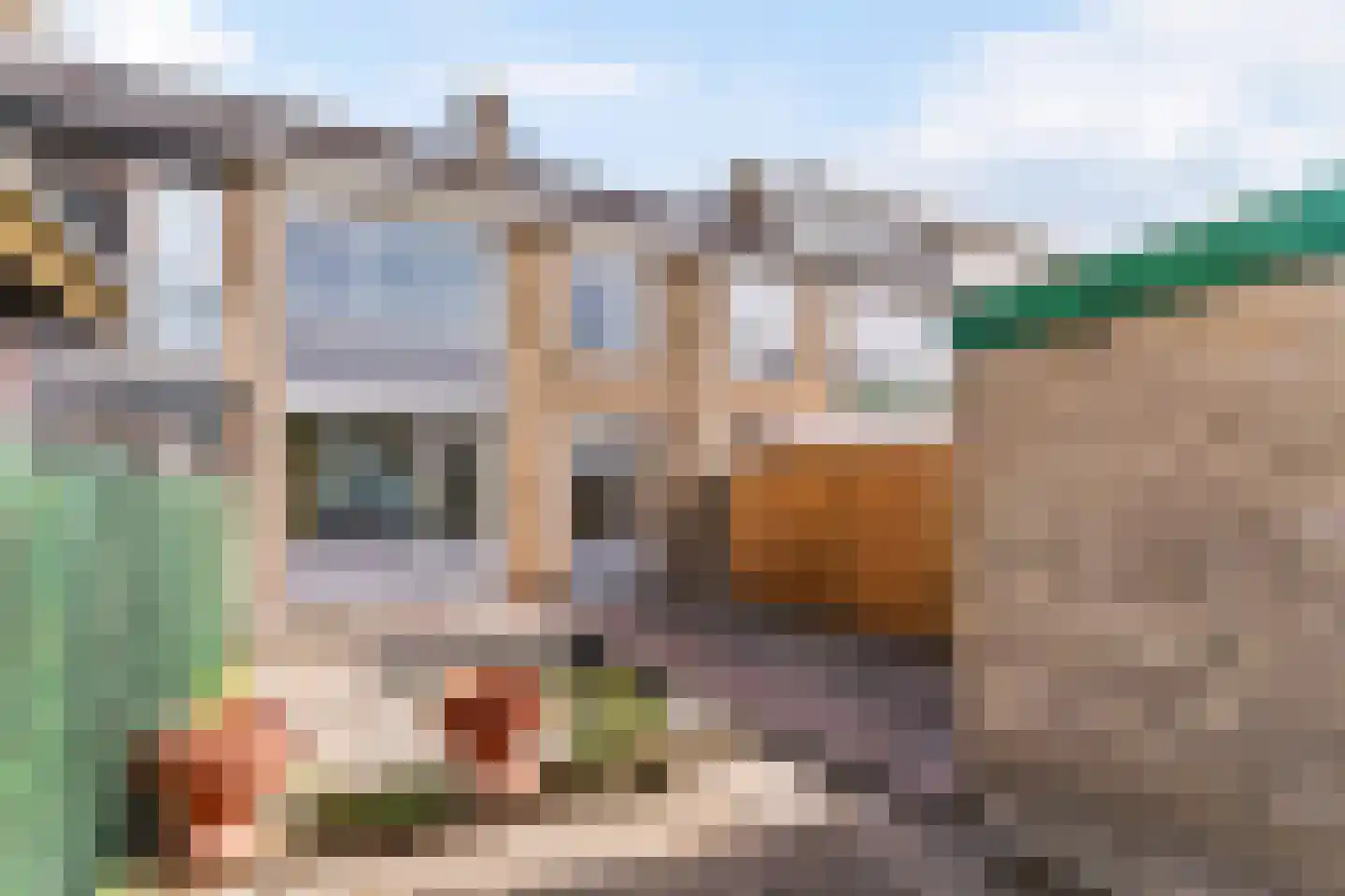 Groen van Prinstererstraat 20 Alblasserdam thumbnail 17