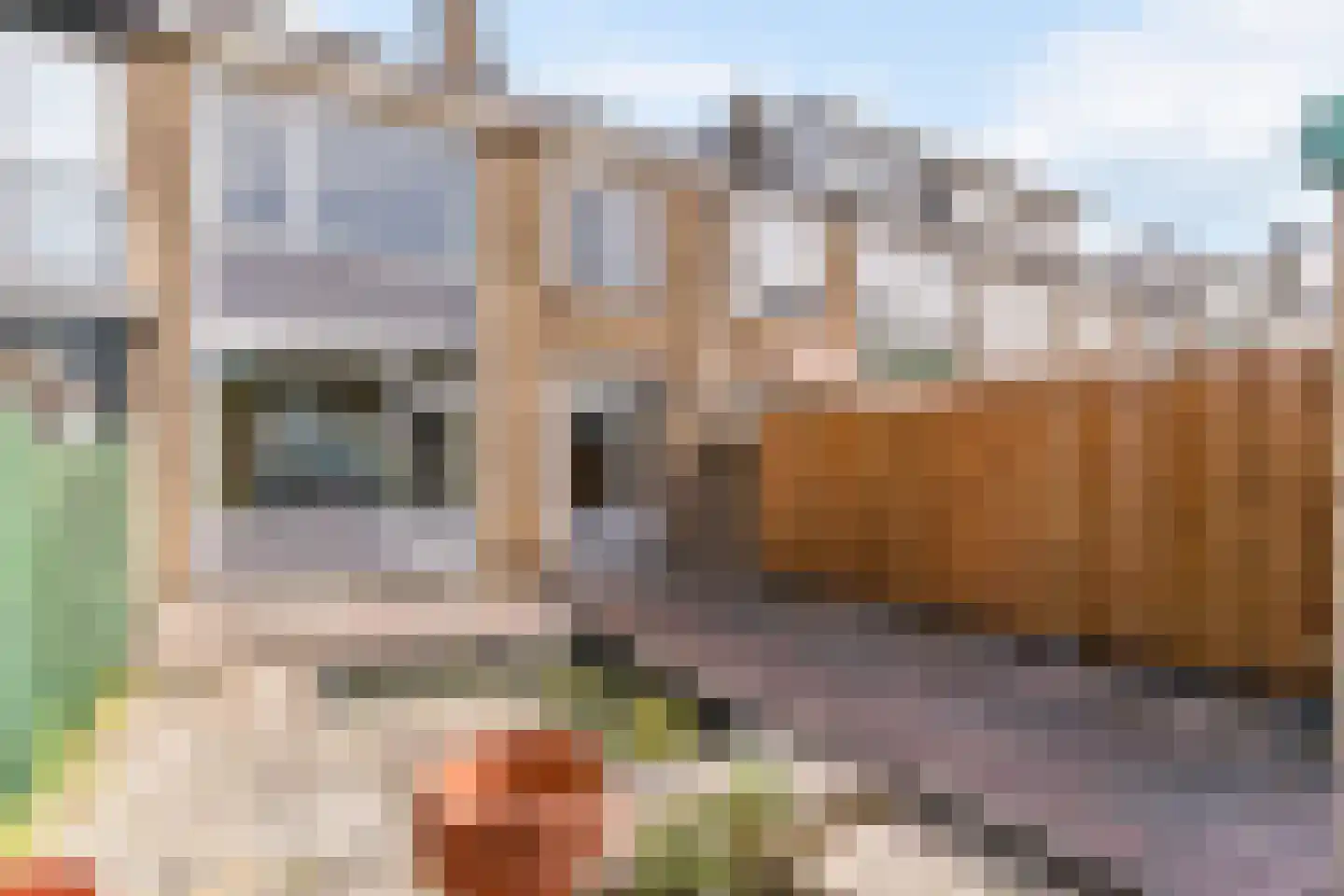 Groen van Prinstererstraat 20 Alblasserdam thumbnail 18