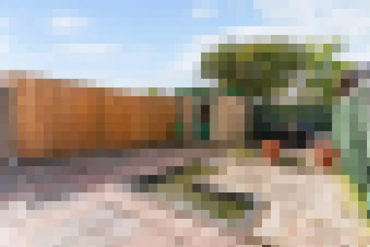 Groen van Prinstererstraat 20 Alblasserdam thumbnail 5