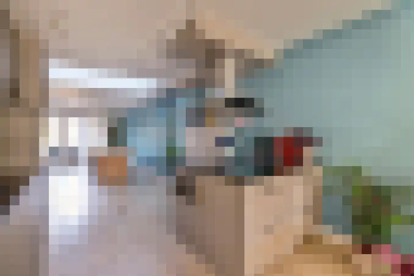 Groen van Prinstererstraat 20 Harlingen thumbnail 13