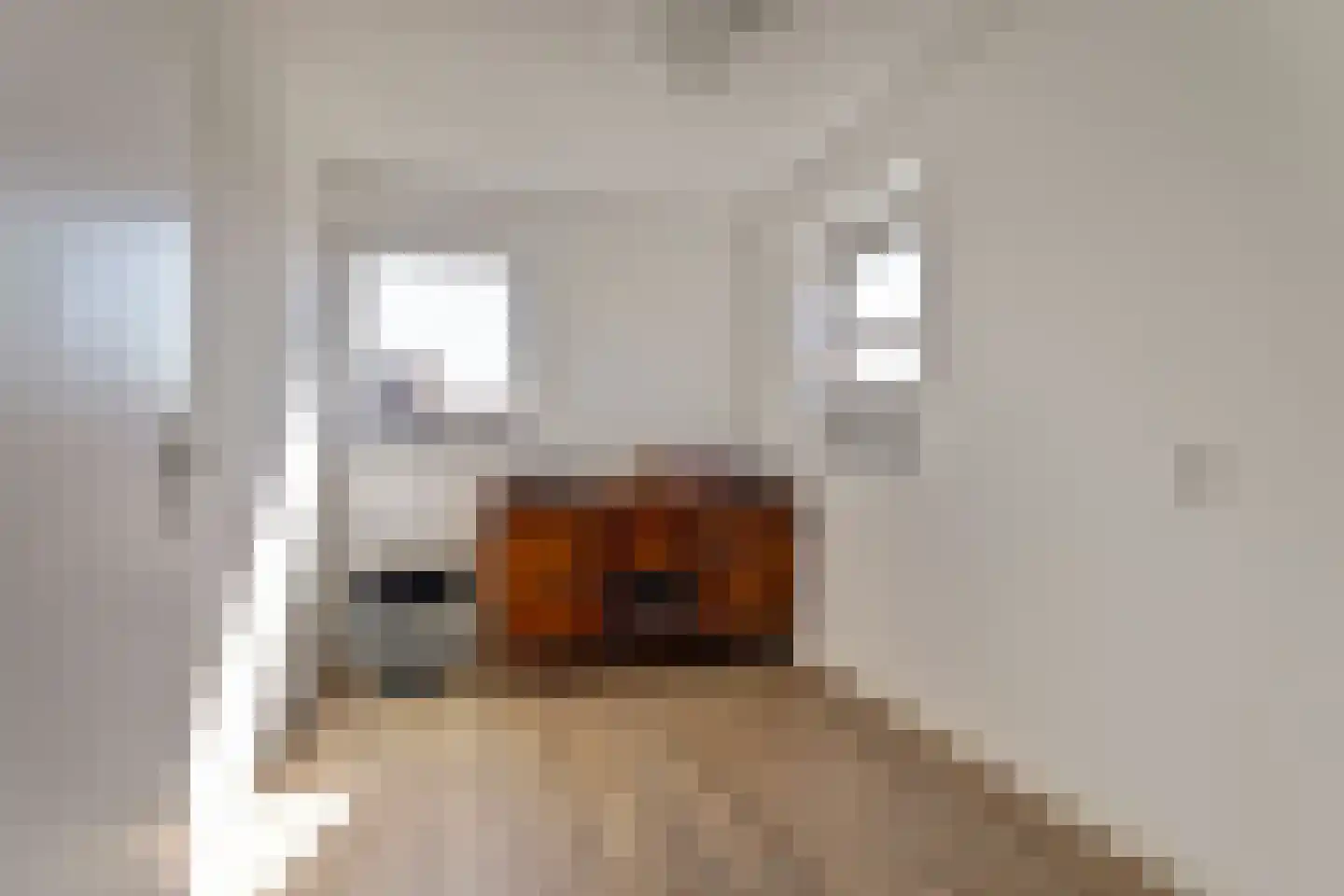 Groen van Prinstererstraat 20 Harlingen thumbnail 22