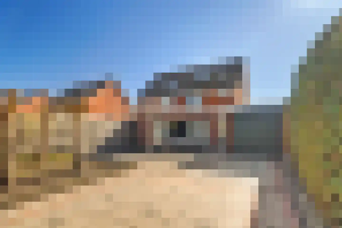 Groen van Prinstererstraat 20 Harlingen thumbnail 33