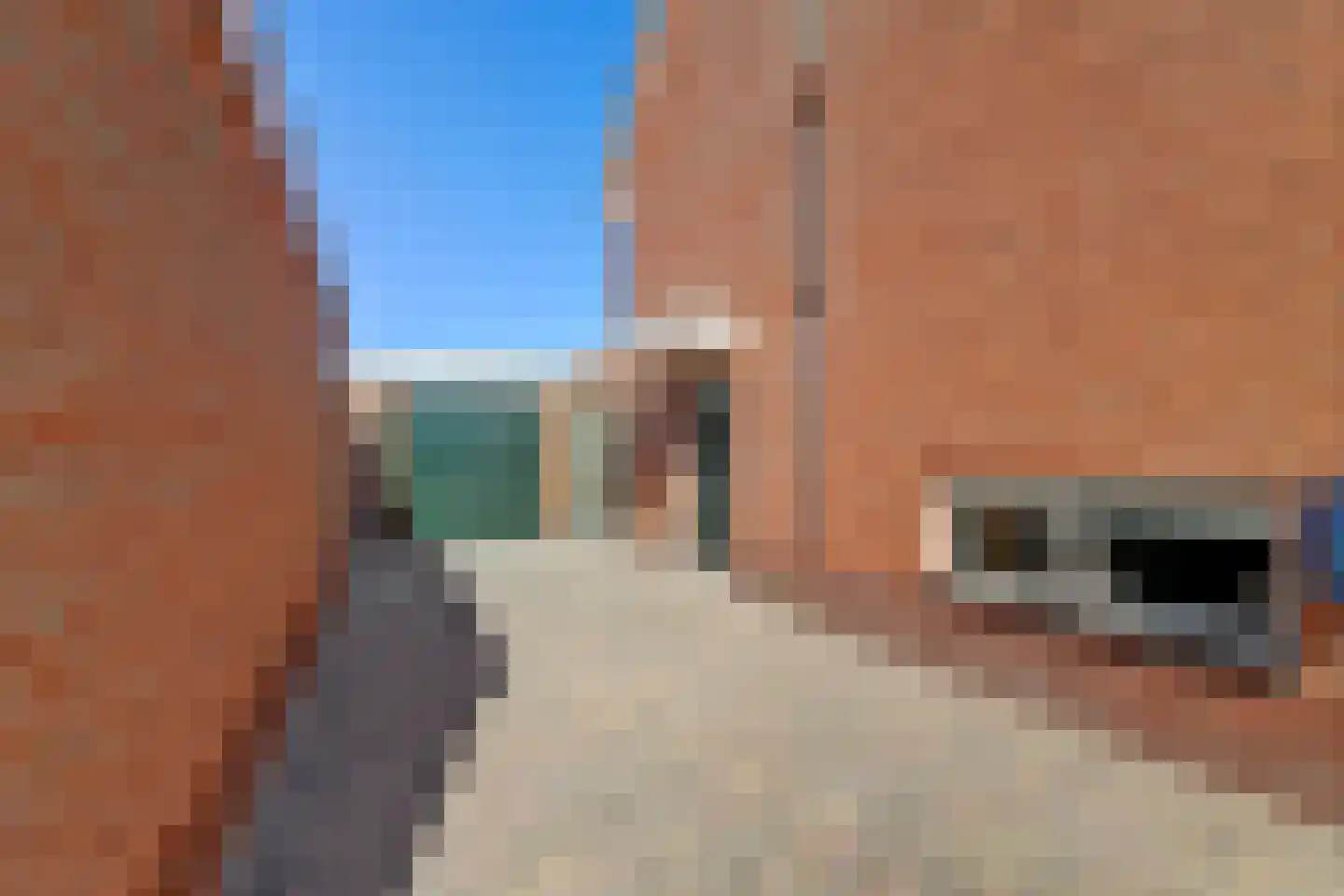 Groen van Prinstererstraat 20 Harlingen thumbnail 37