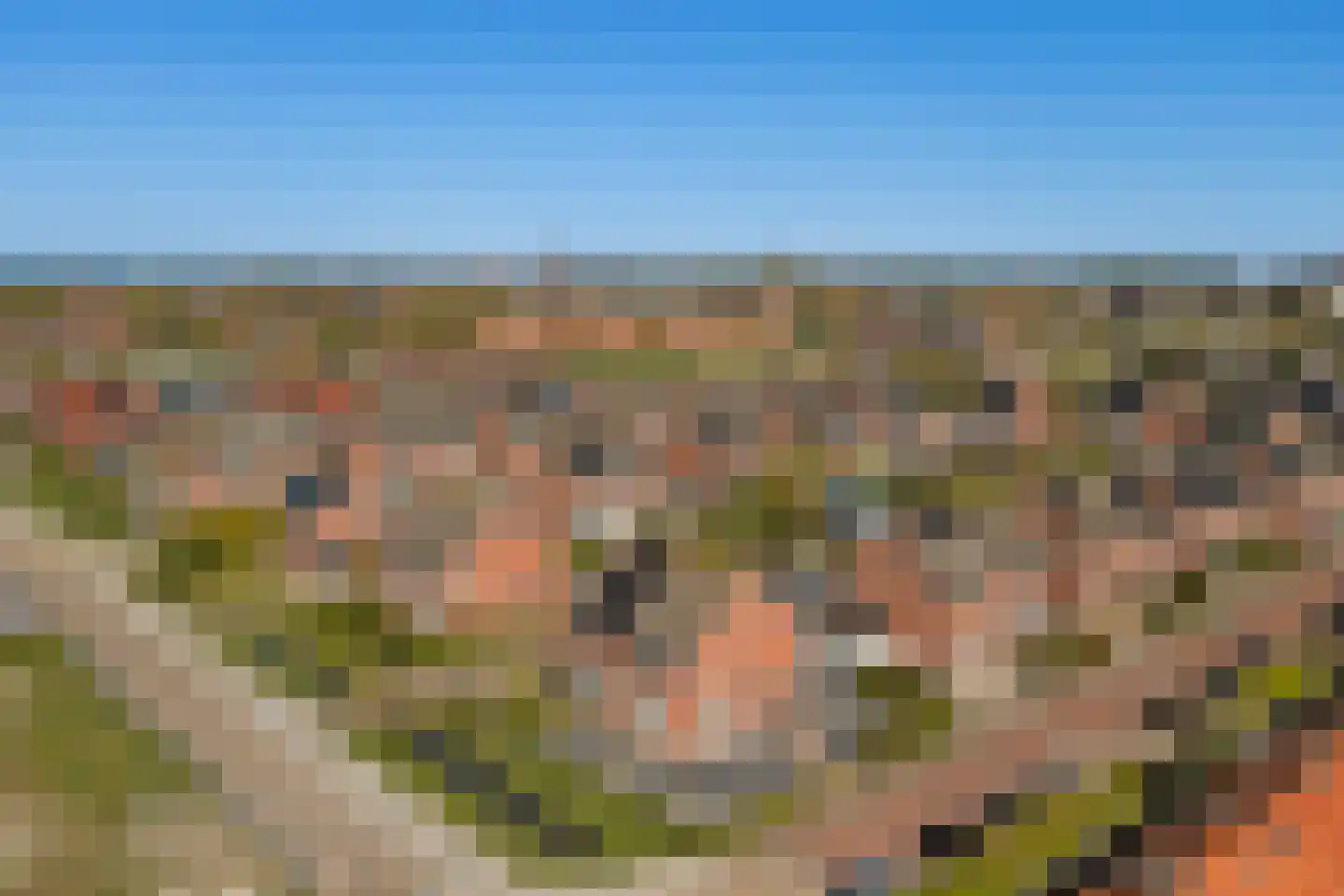 Groen van Prinstererstraat 20 Harlingen thumbnail 39