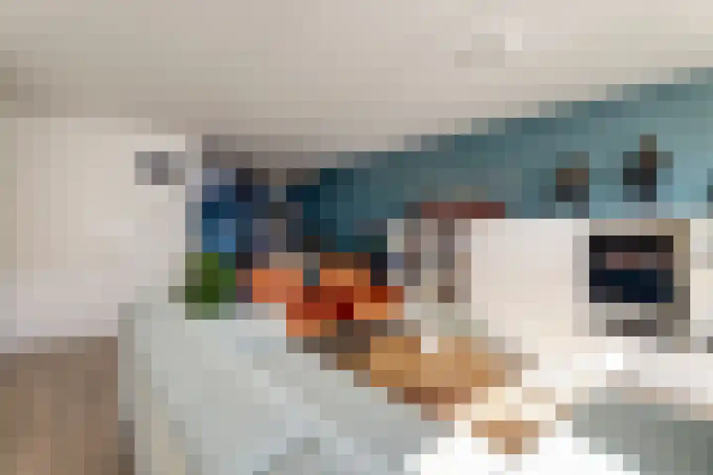 Groen van Prinstererstraat 20 Harlingen thumbnail 5