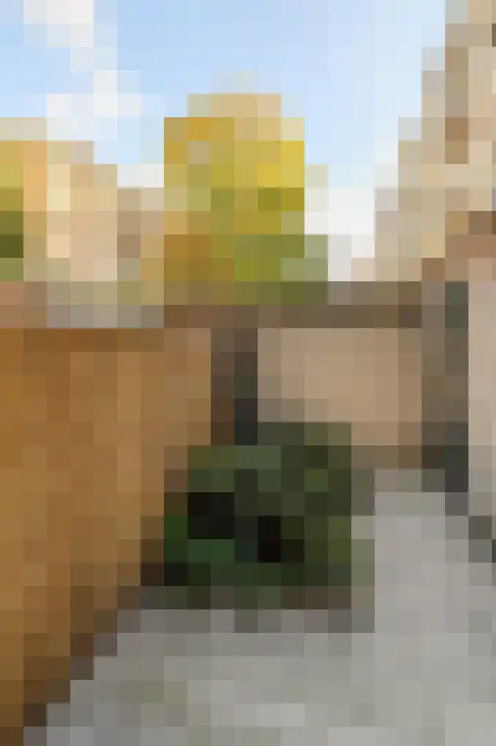 Groen van Prinstererstraat 21 1 Amsterdam thumbnail 12