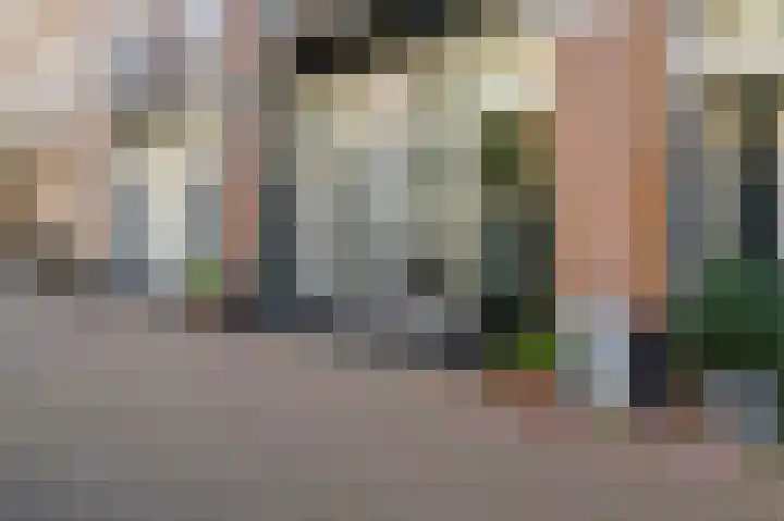 Groen van Prinstererstraat 21 1 Amsterdam thumbnail 20