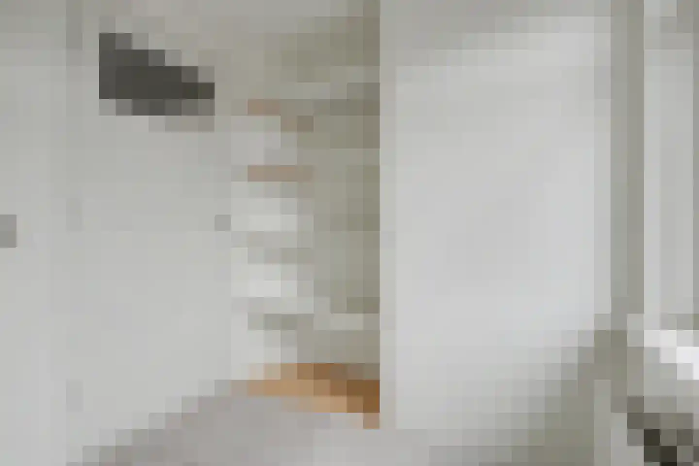 Groen van Prinstererstraat 21 Zutphen thumbnail 25