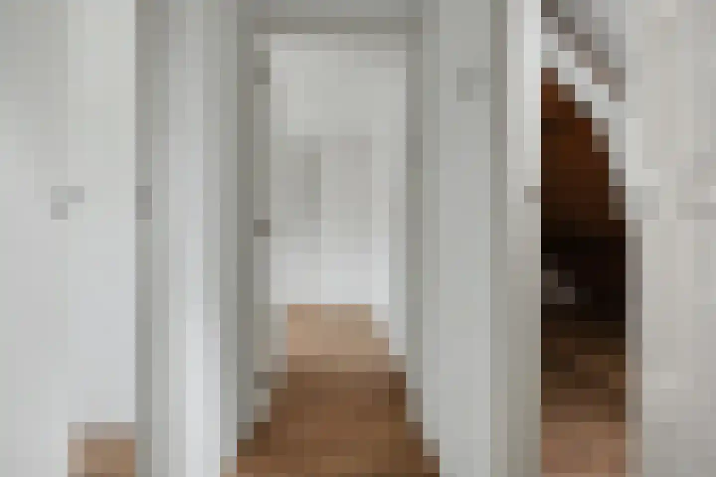 Groen van Prinstererstraat 21 Zutphen thumbnail 26
