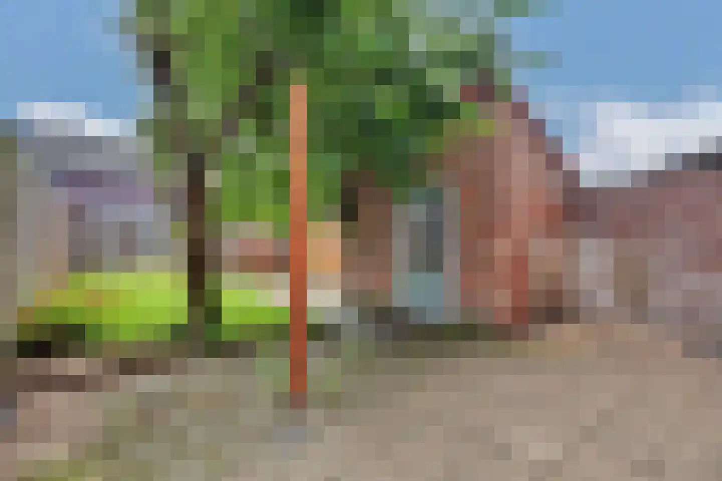 Groen van Prinstererstraat 21 Zutphen thumbnail 33