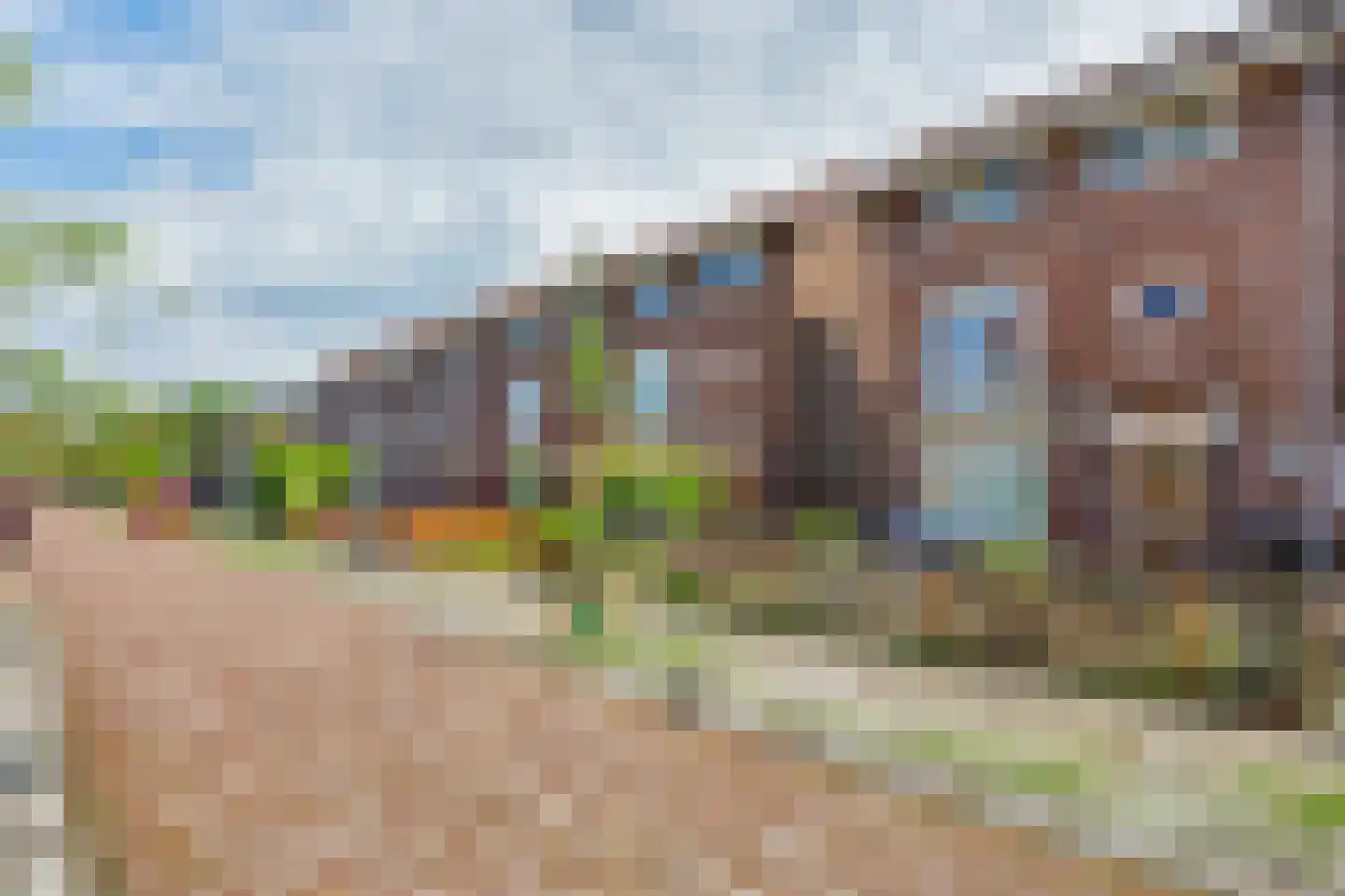 Groen van Prinstererstraat 21 Zutphen thumbnail 35