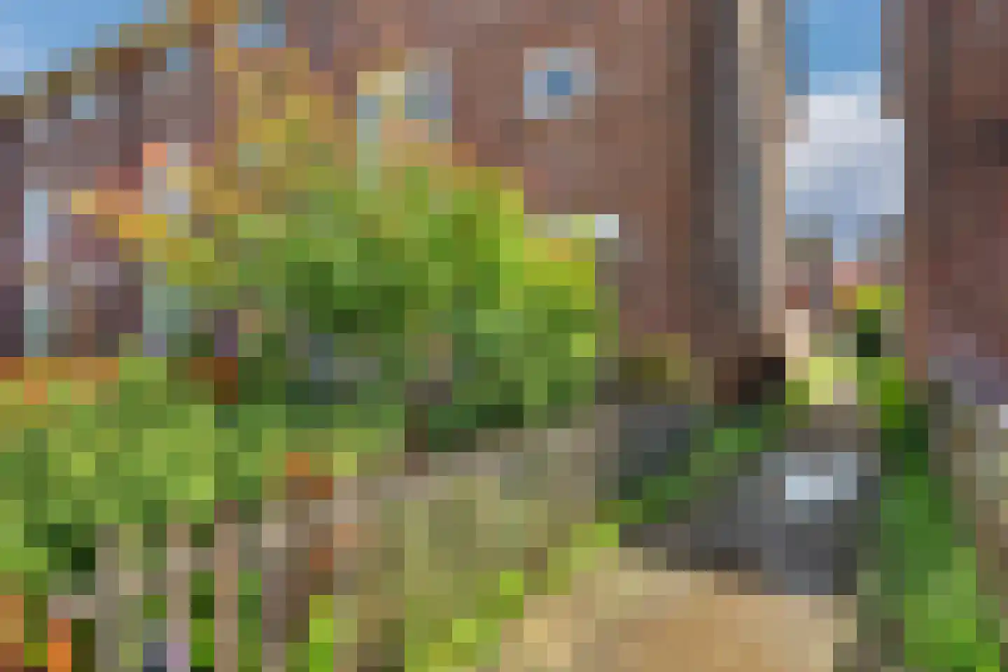 Groen van Prinstererstraat 21 Zutphen thumbnail 36