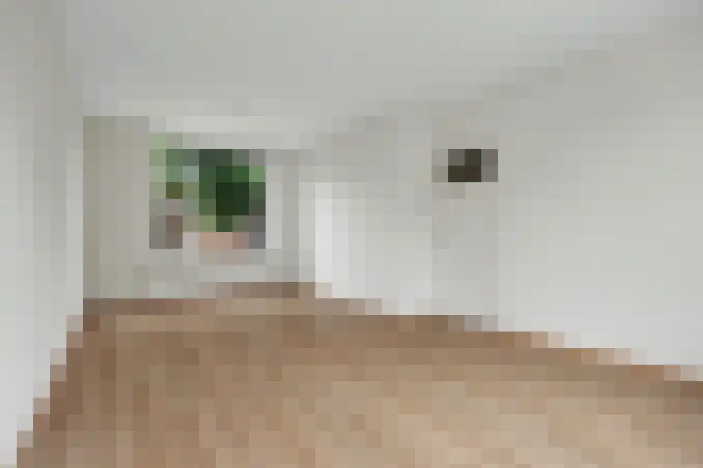 Groen van Prinstererstraat 21 Zutphen thumbnail 6