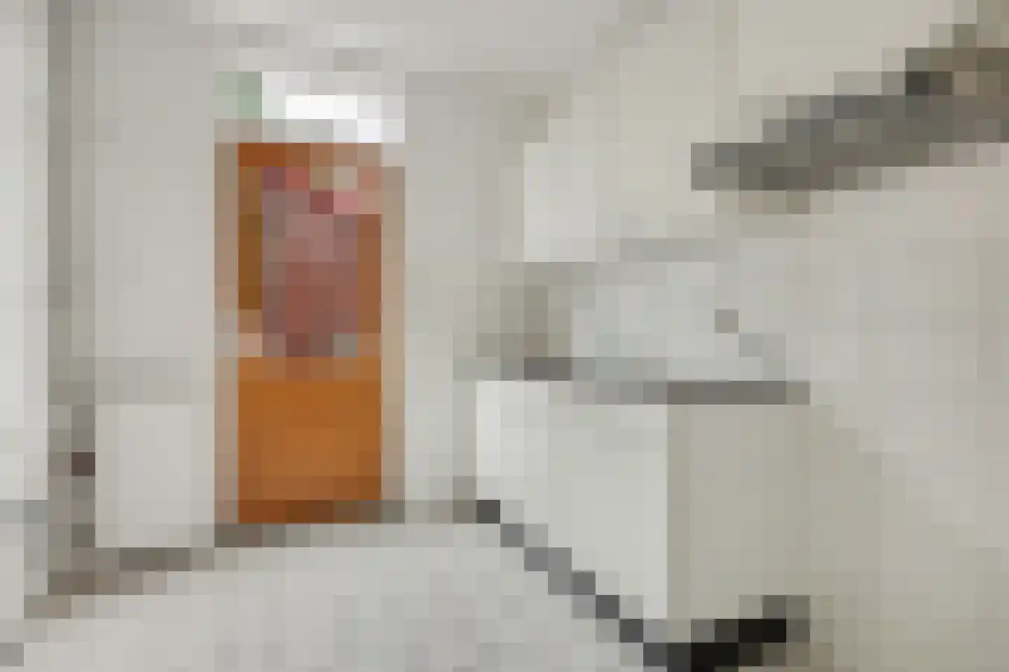 Groen van Prinstererstraat 21 Zutphen thumbnail 7