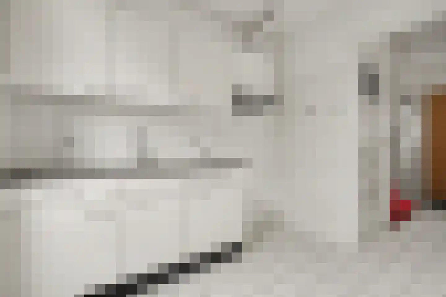 Groen van Prinstererstraat 21 Zutphen thumbnail 8