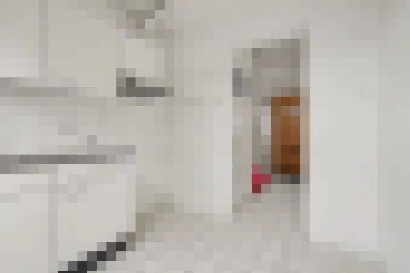 Groen van Prinstererstraat 21 Zutphen thumbnail 9