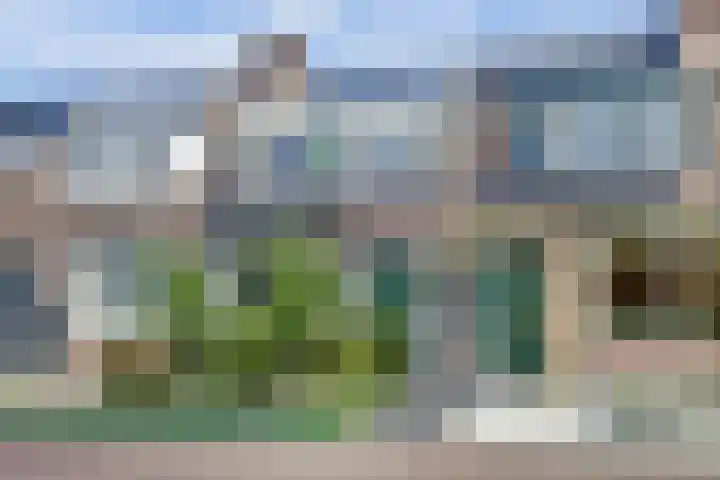 Groen van Prinstererstraat 22 Winterswijk thumbnail 9