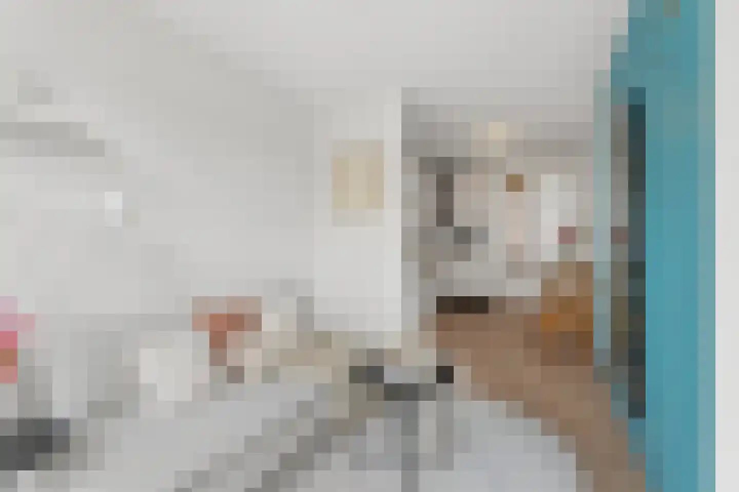 Groen van Prinstererstraat 23 2 Amsterdam thumbnail 17