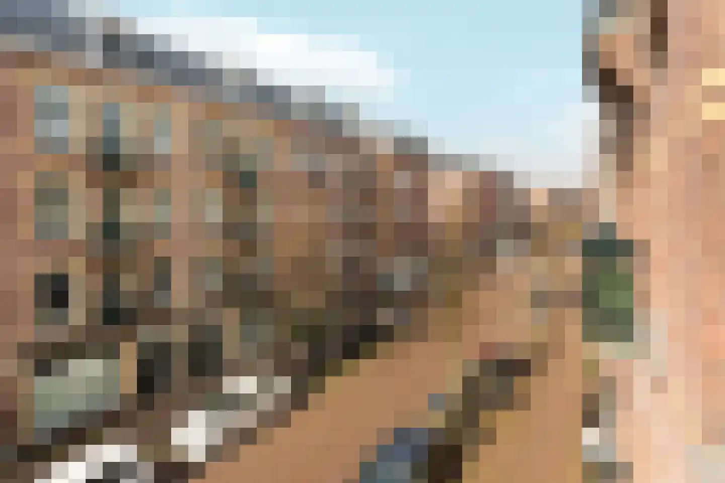 Groen van Prinstererstraat 23 2 Amsterdam thumbnail 20