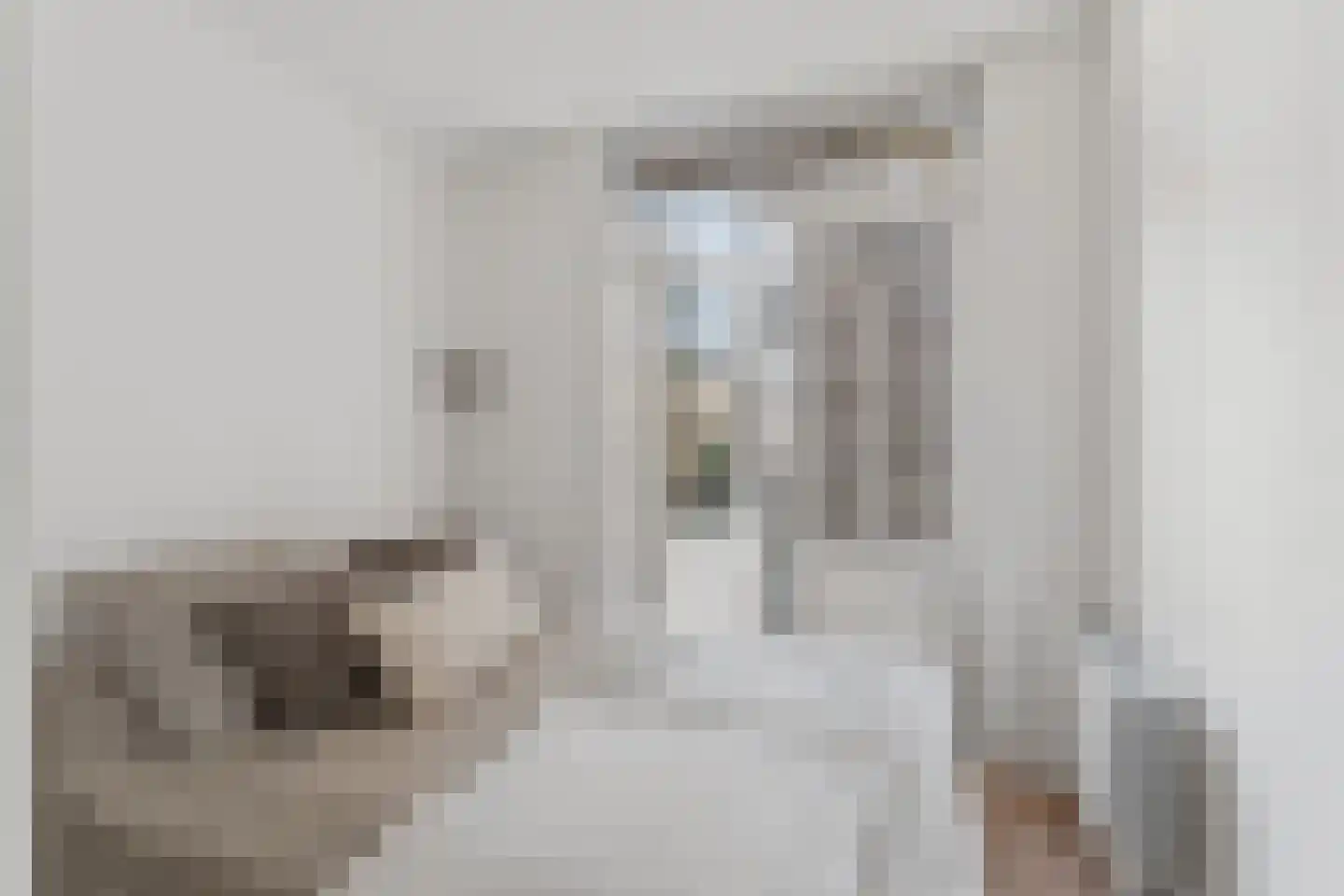 Groen van Prinstererstraat 23 2 Amsterdam thumbnail 26