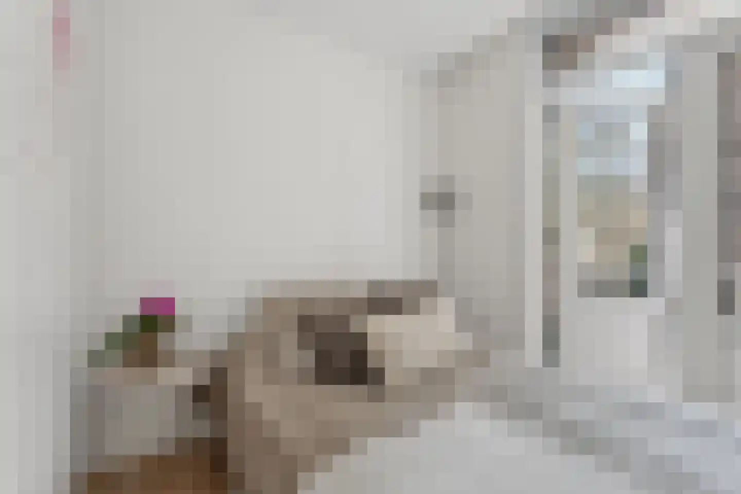 Groen van Prinstererstraat 23 2 Amsterdam thumbnail 27
