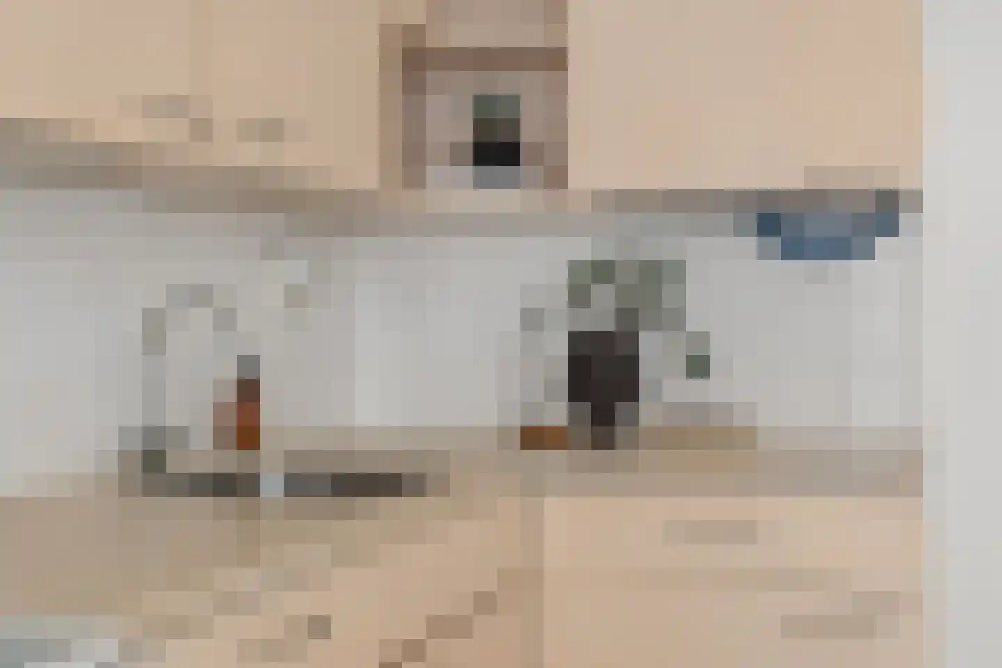 Groen van Prinstererstraat 23 2 Amsterdam thumbnail 9
