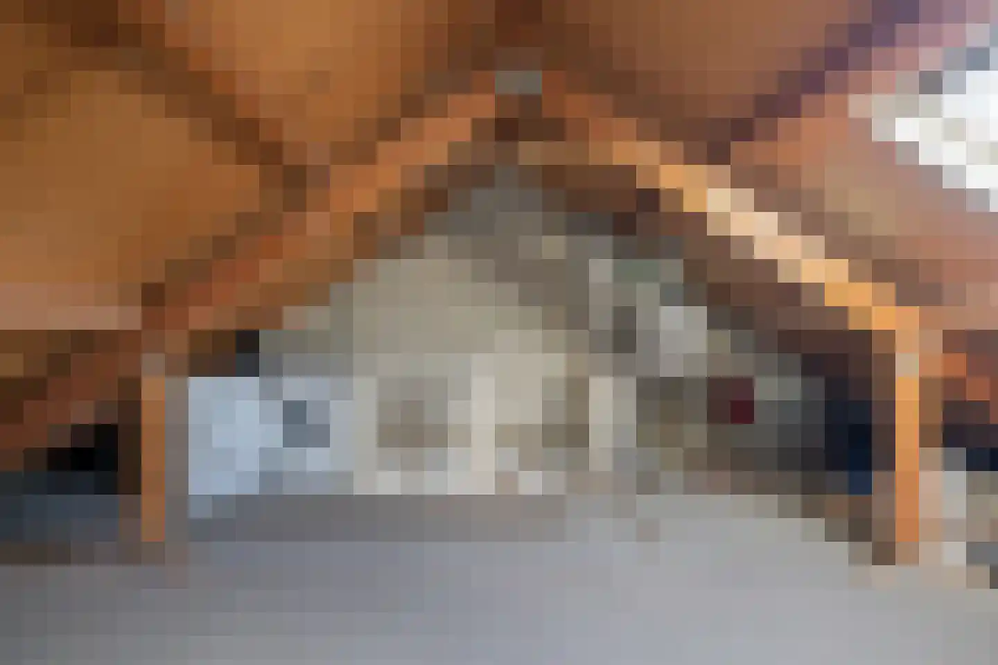 Groen van Prinstererstraat 23 Veenoord thumbnail 22