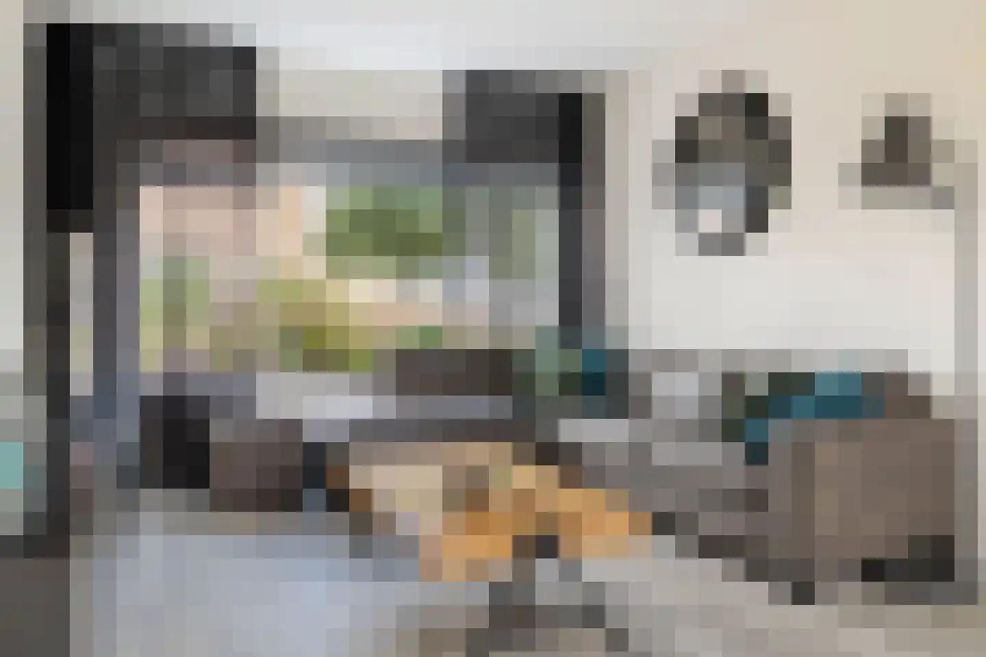Groen van Prinstererstraat 23 Veenoord thumbnail 7