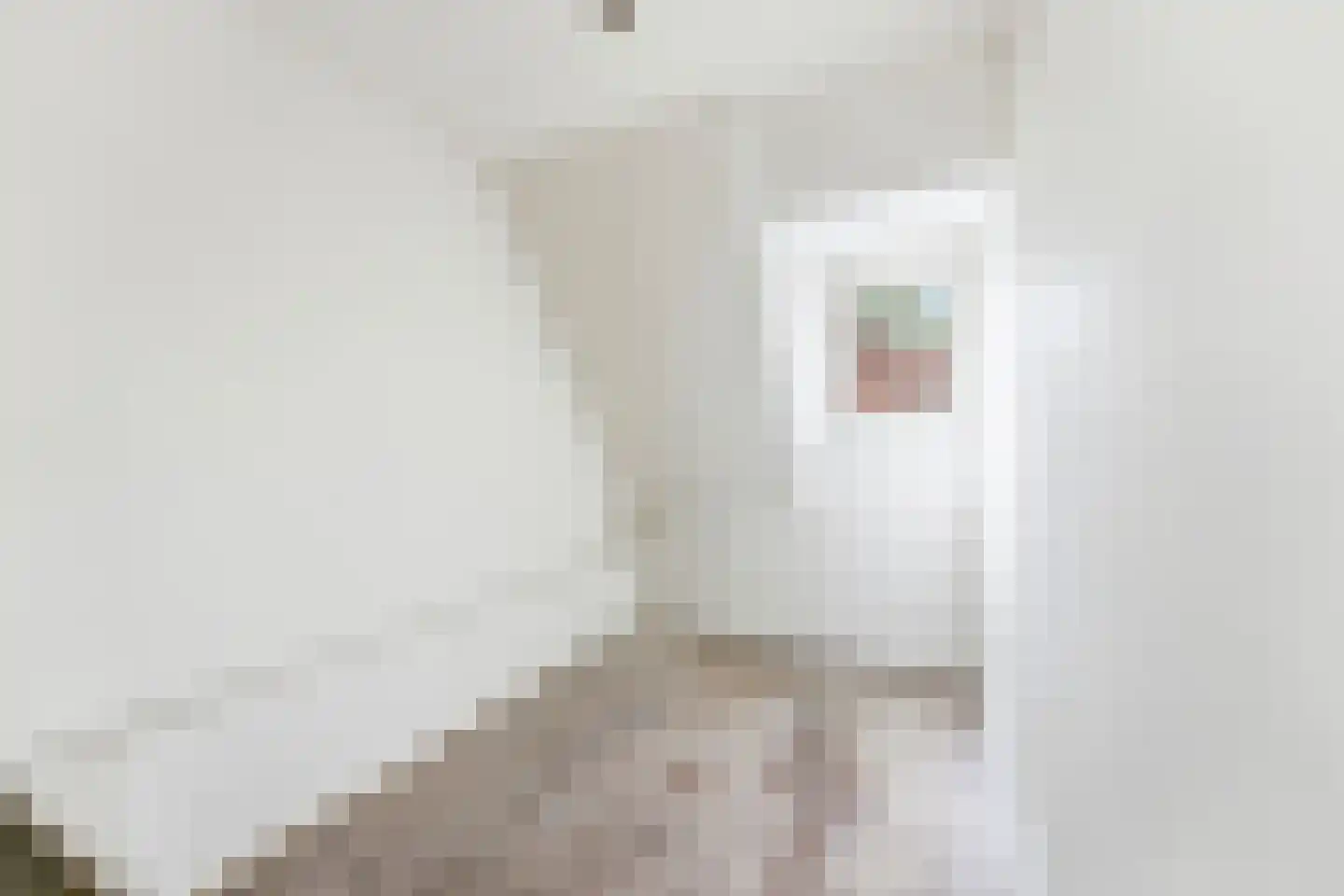 Groen van Prinstererstraat 24 A Rotterdam thumbnail 15