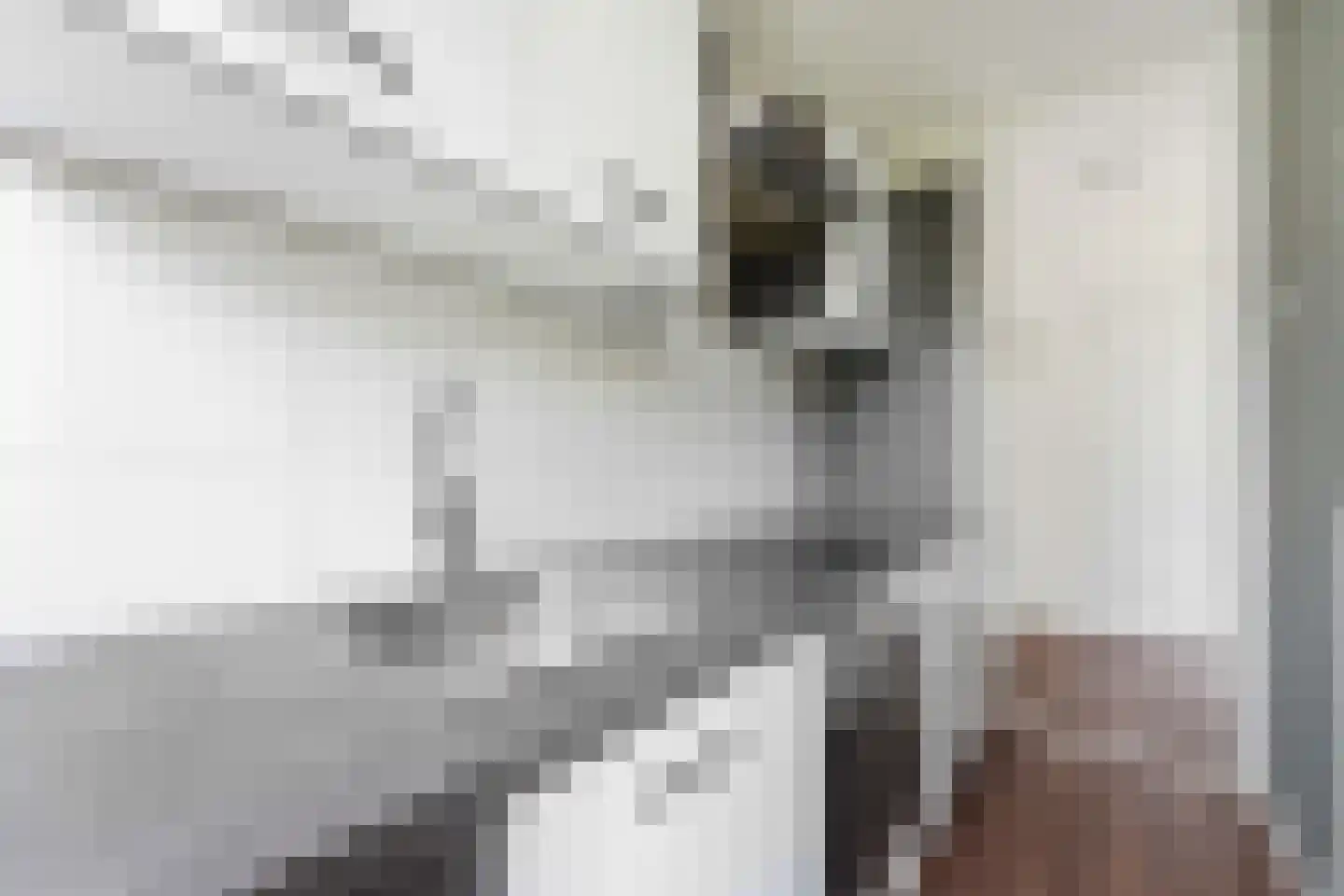 Groen van Prinstererstraat 24 A Rotterdam thumbnail 4