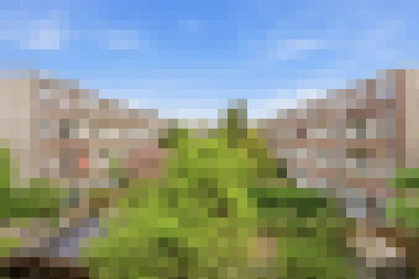 Groen van Prinstererstraat 24 A Rotterdam thumbnail 6