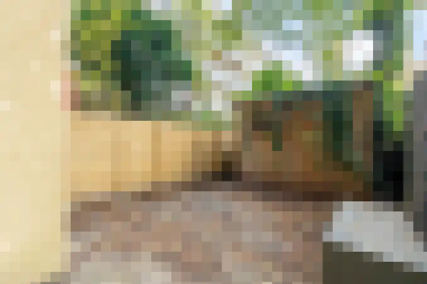 Groen van Prinstererstraat 24 H Amsterdam thumbnail 18