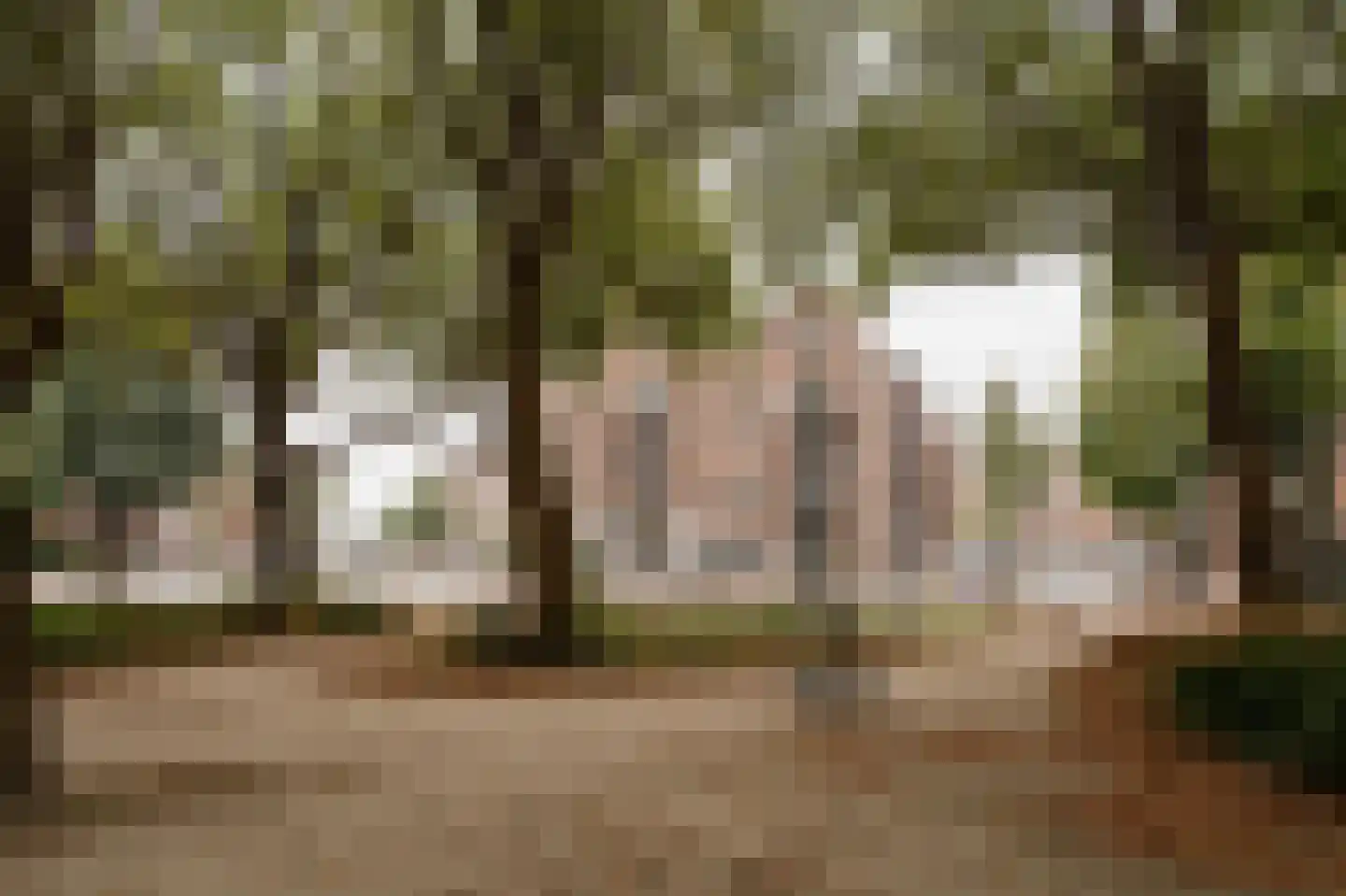Groen van Prinstererstraat 24 H Amsterdam thumbnail 21