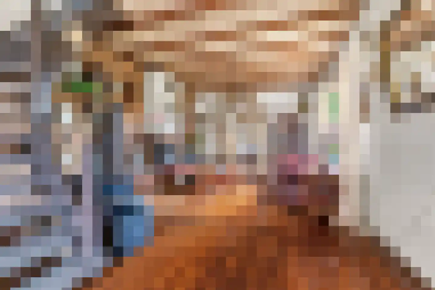 Groen van Prinstererstraat 24 Velp thumbnail 13