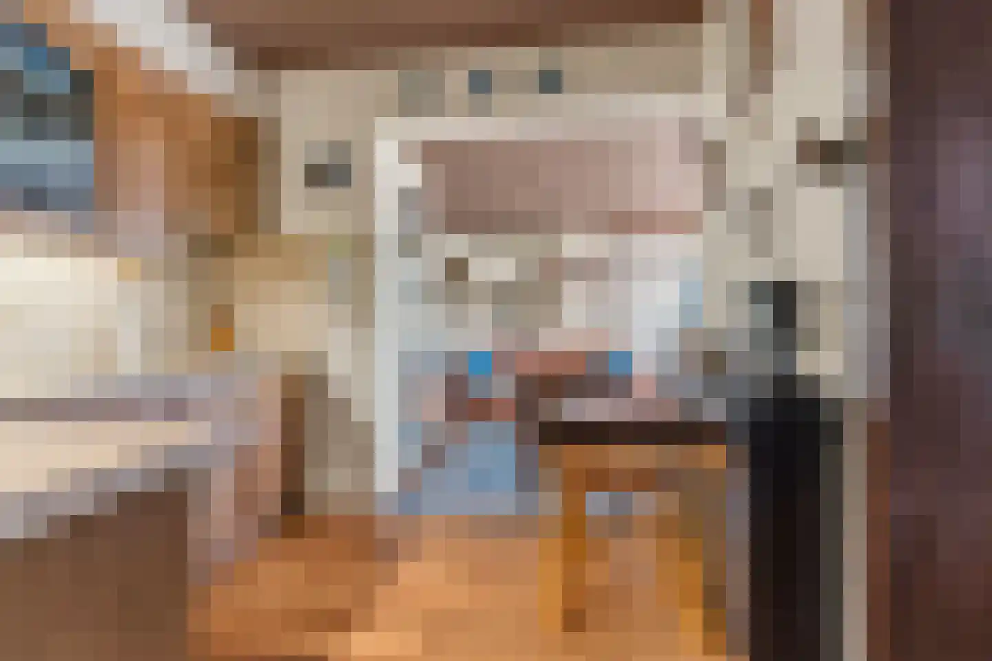 Groen van Prinstererstraat 24 Velp thumbnail 16