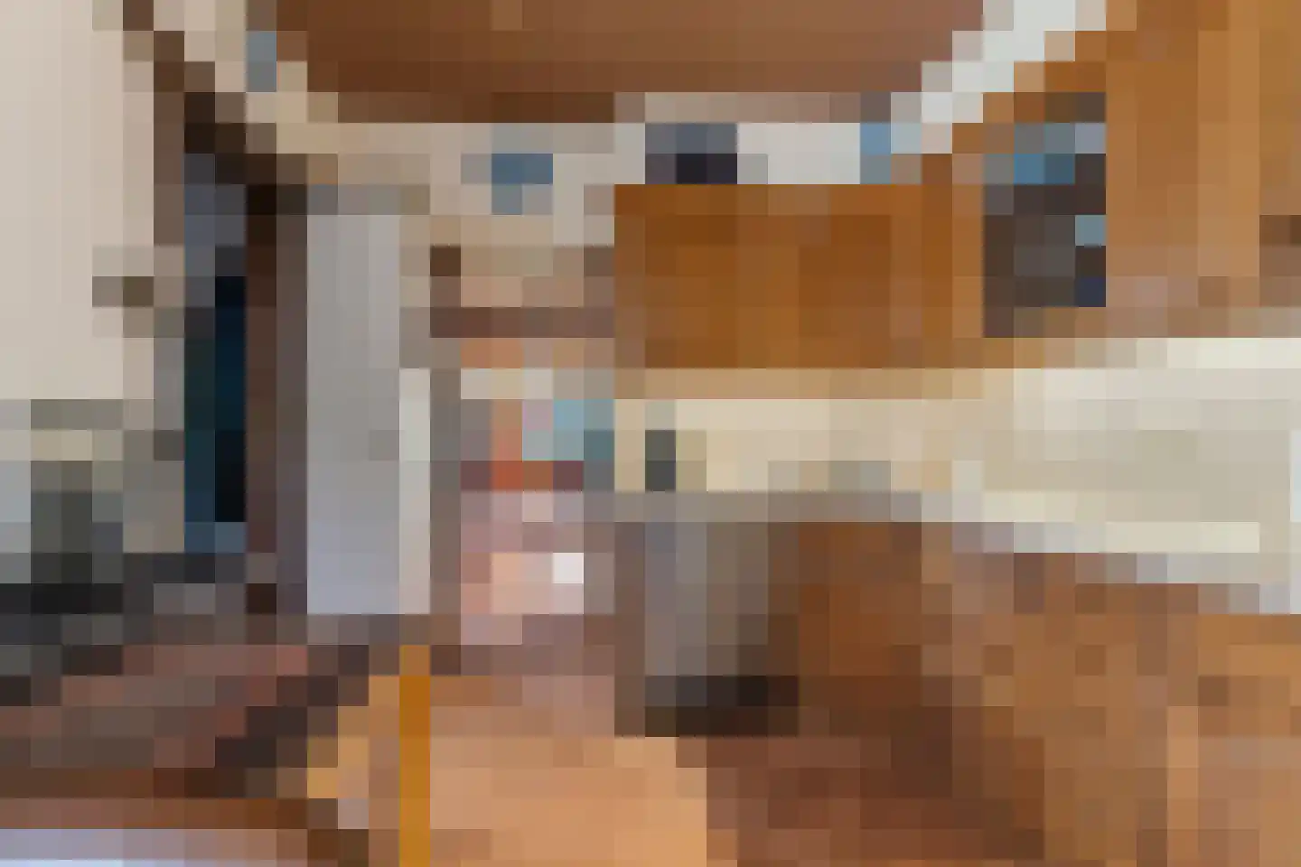 Groen van Prinstererstraat 24 Velp thumbnail 20