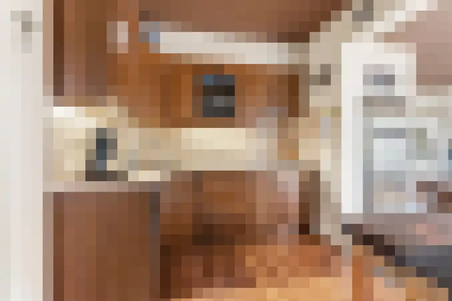 Groen van Prinstererstraat 24 Velp thumbnail 21