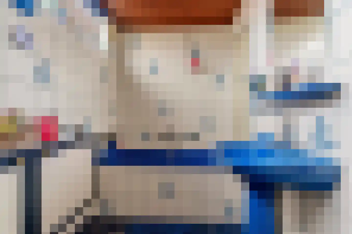 Groen van Prinstererstraat 24 Velp thumbnail 24