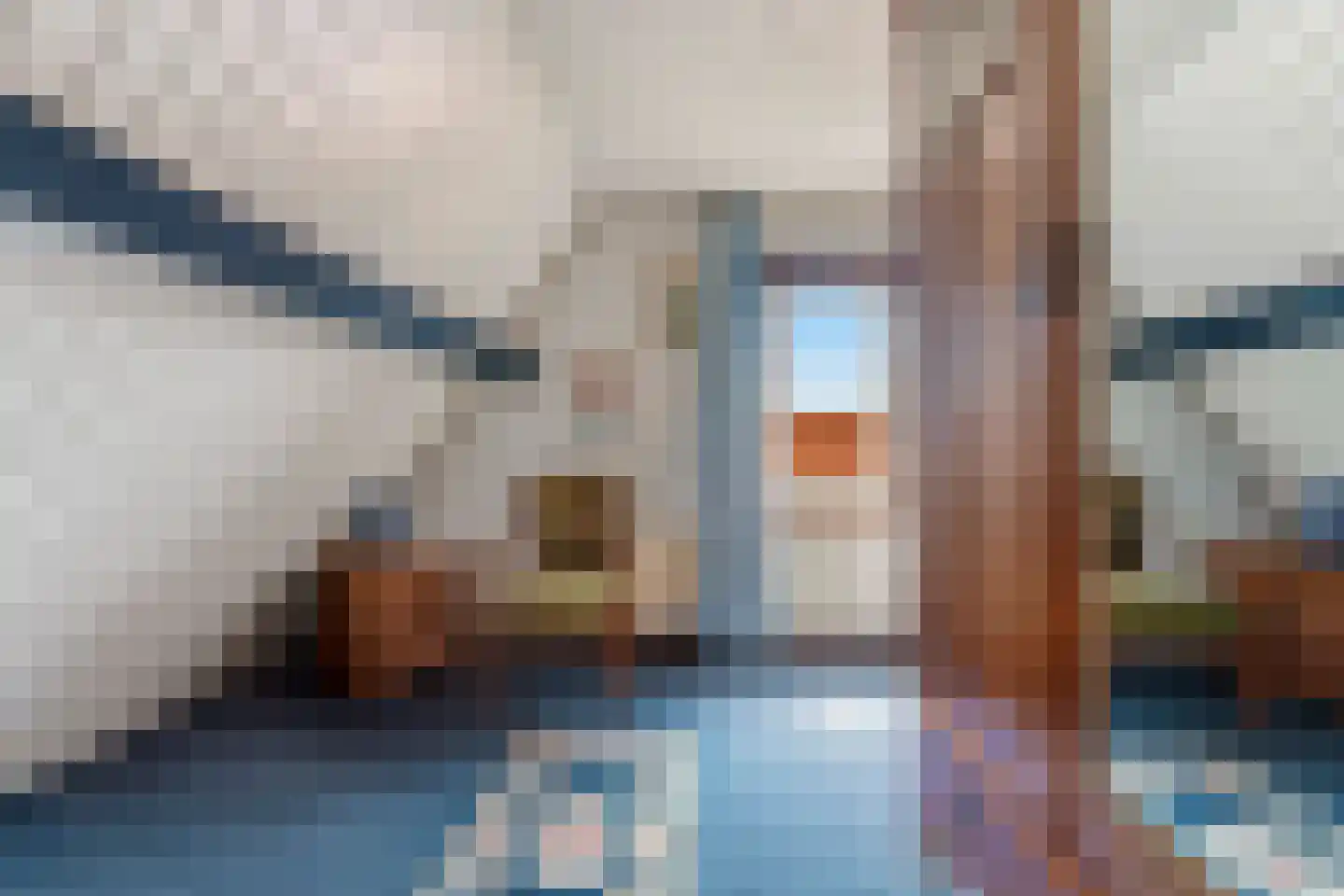 Groen van Prinstererstraat 24 Velp thumbnail 35