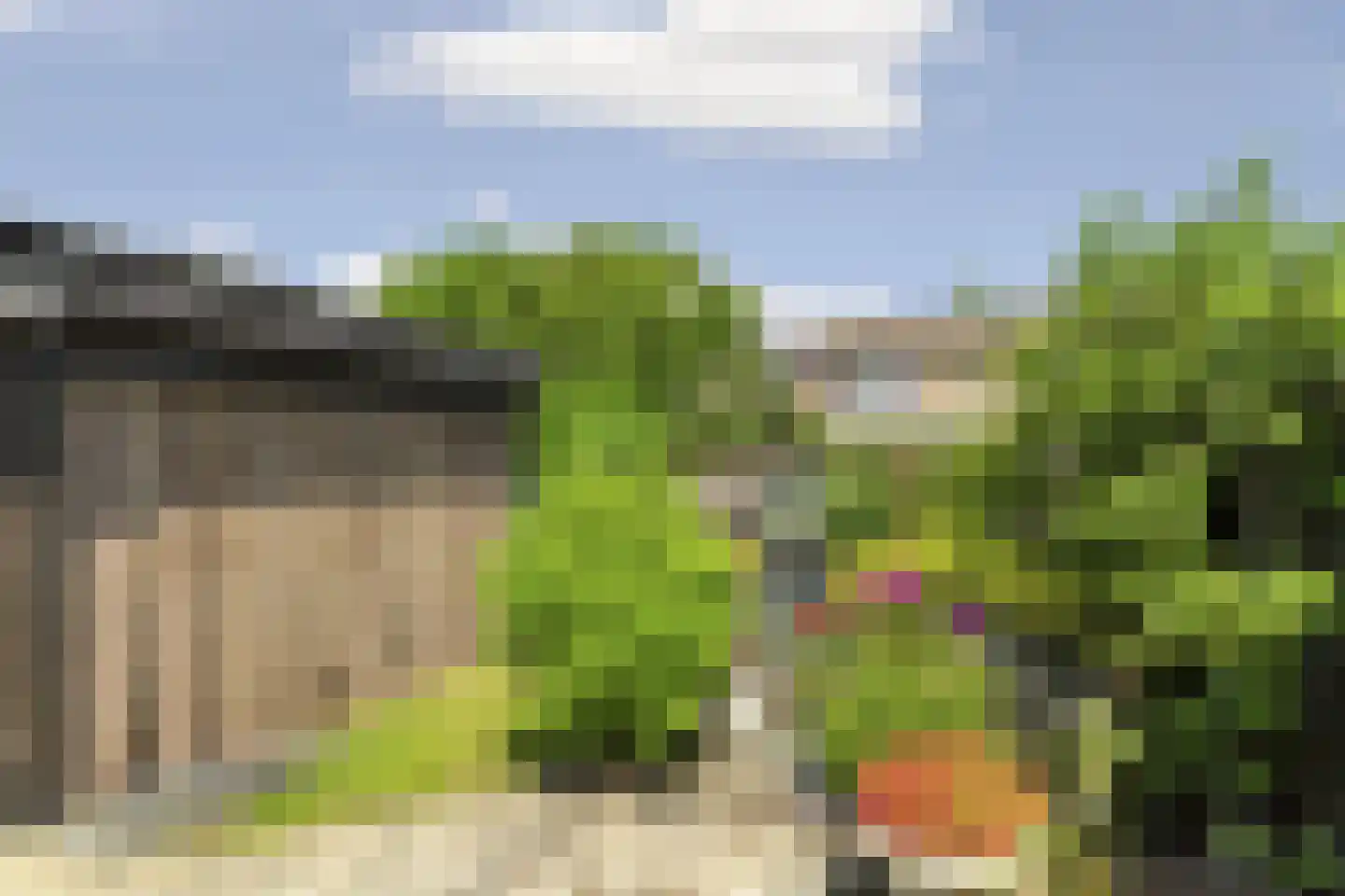 Groen van Prinstererstraat 24 Velp thumbnail 46