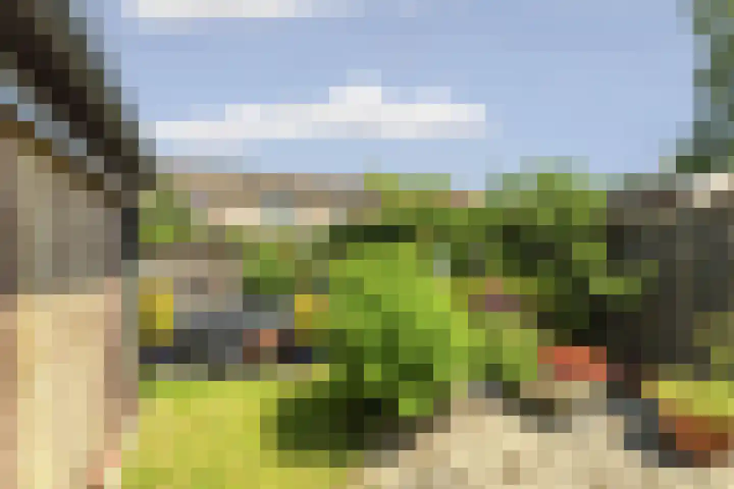 Groen van Prinstererstraat 24 Velp thumbnail 47