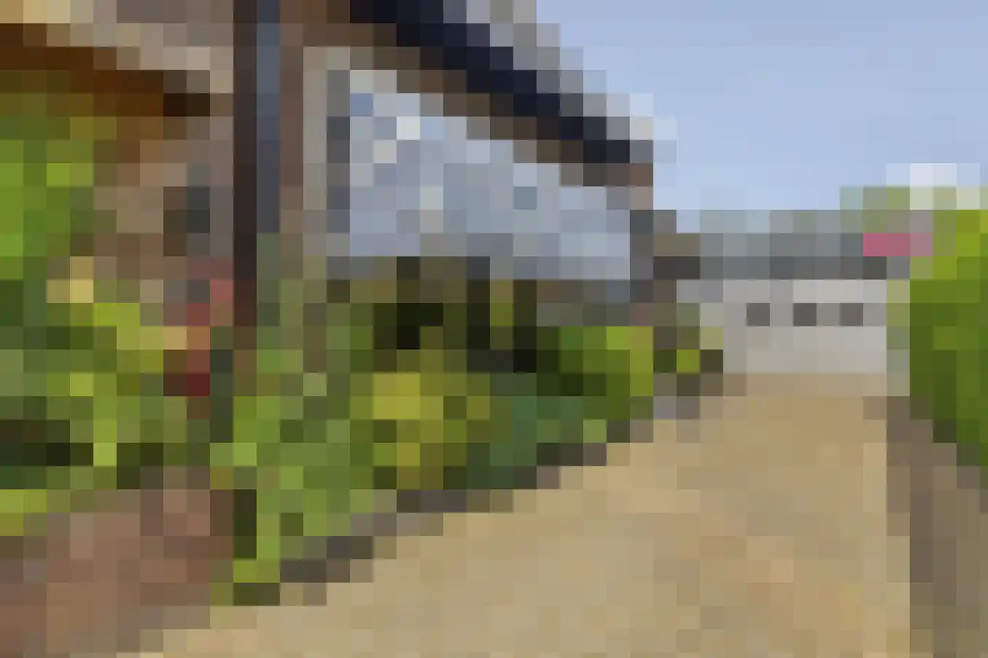 Groen van Prinstererstraat 24 Velp thumbnail 5