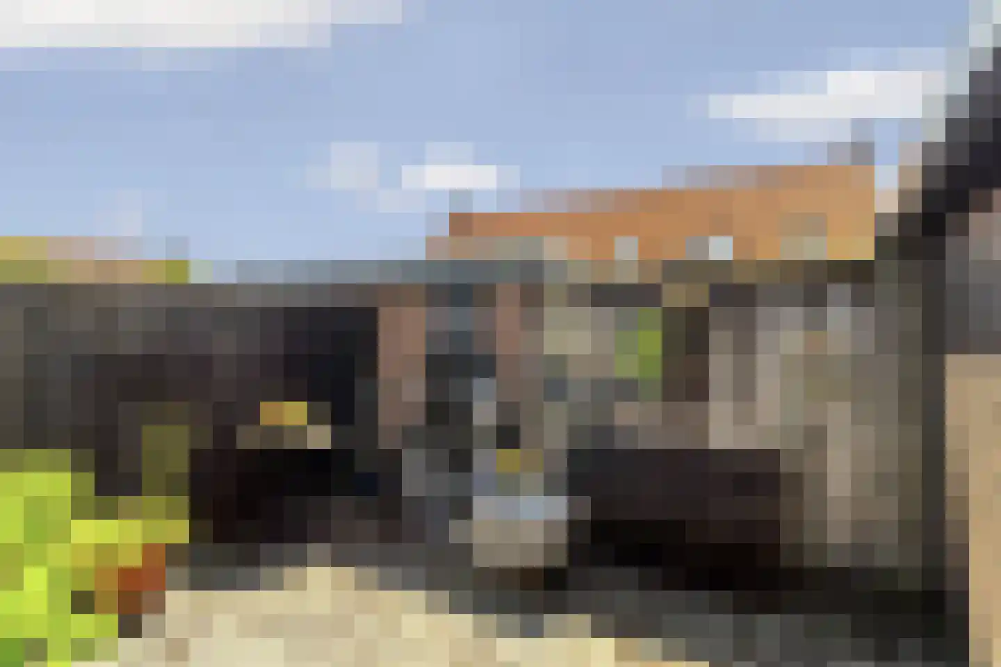 Groen van Prinstererstraat 24 Velp thumbnail 50