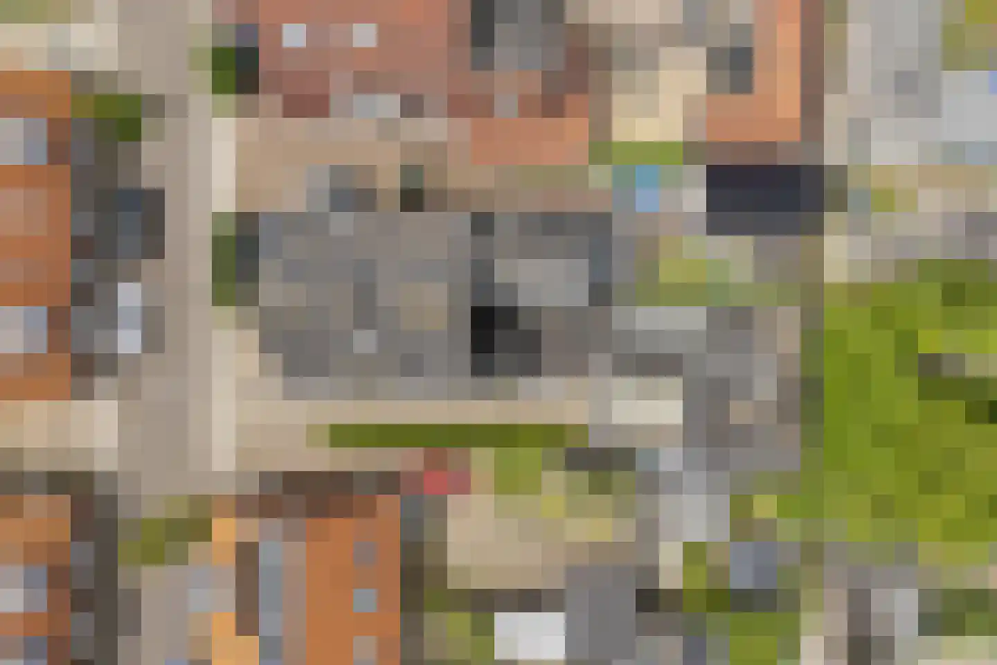 Groen van Prinstererstraat 24 Velp thumbnail 51