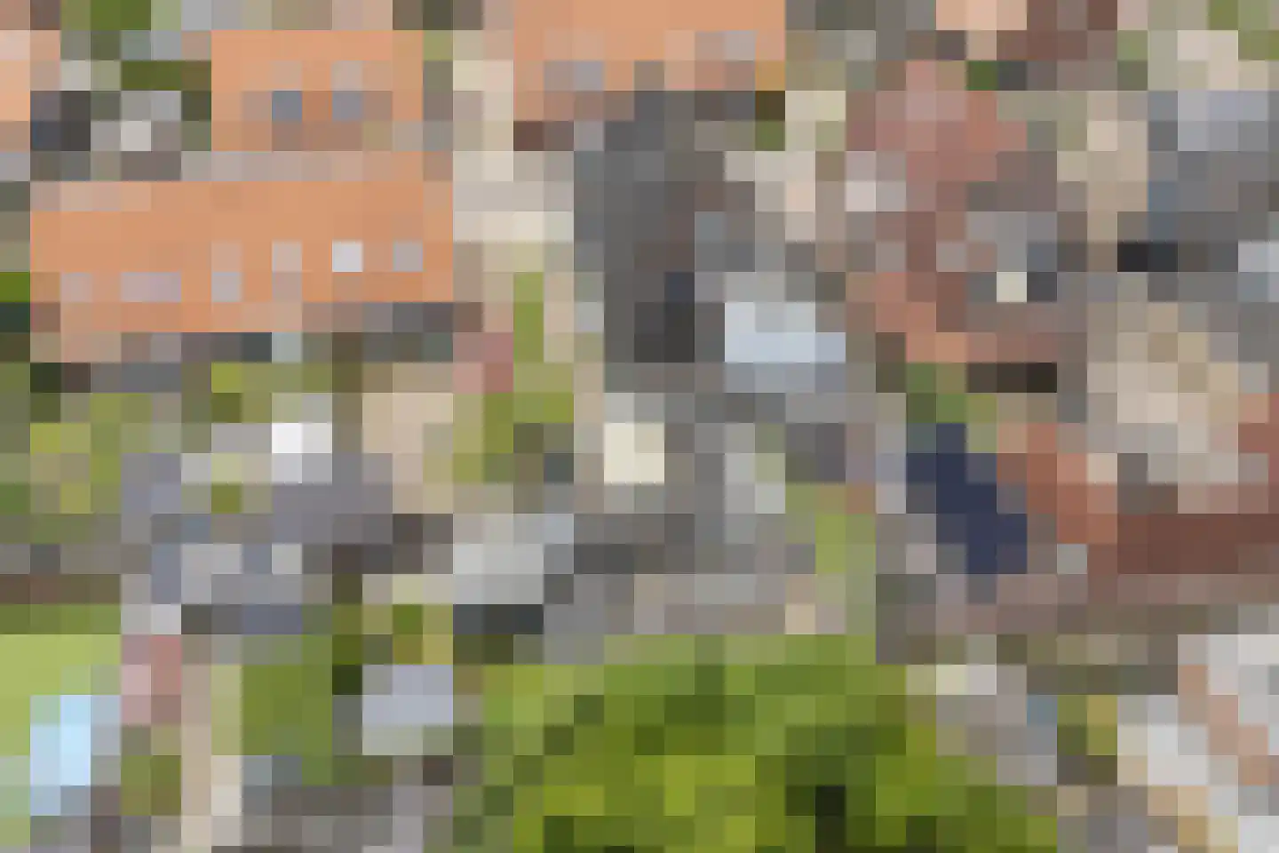 Groen van Prinstererstraat 24 Velp thumbnail 52