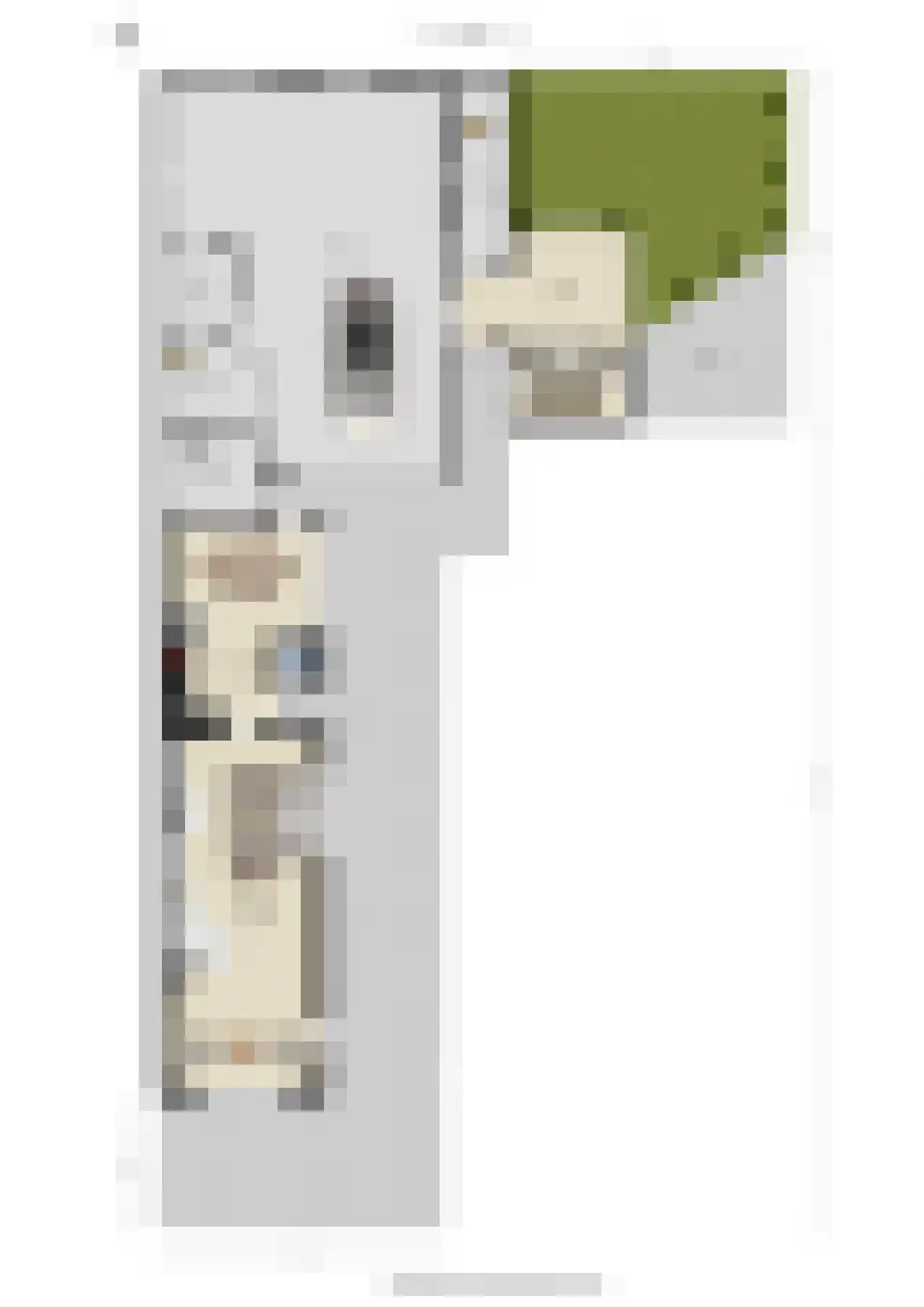 Groen van Prinstererstraat 24 Velp thumbnail 53