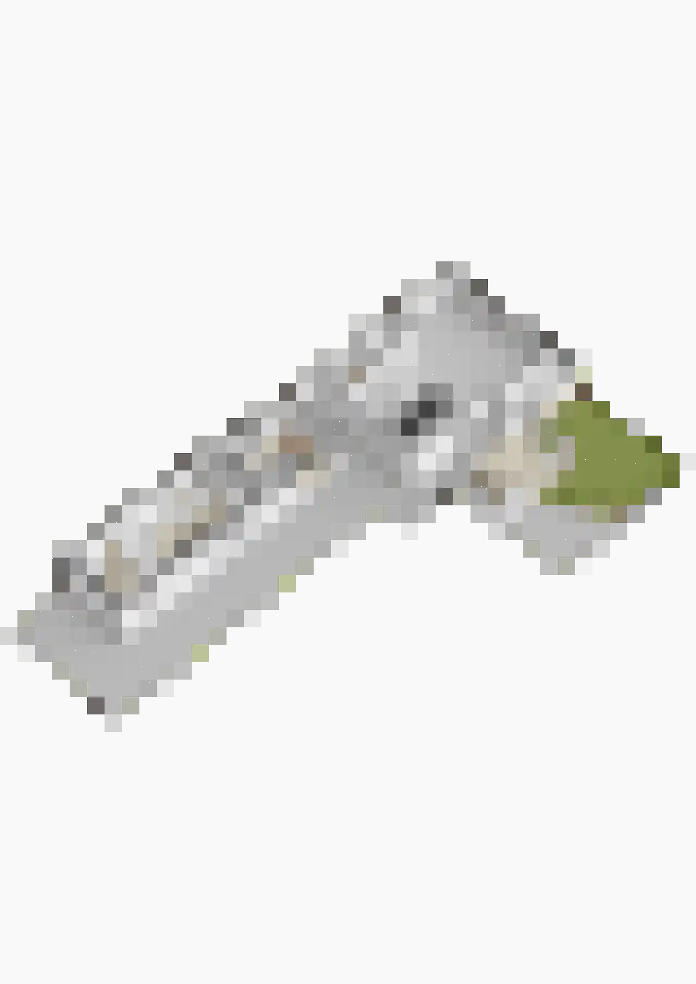 Groen van Prinstererstraat 24 Velp thumbnail 54