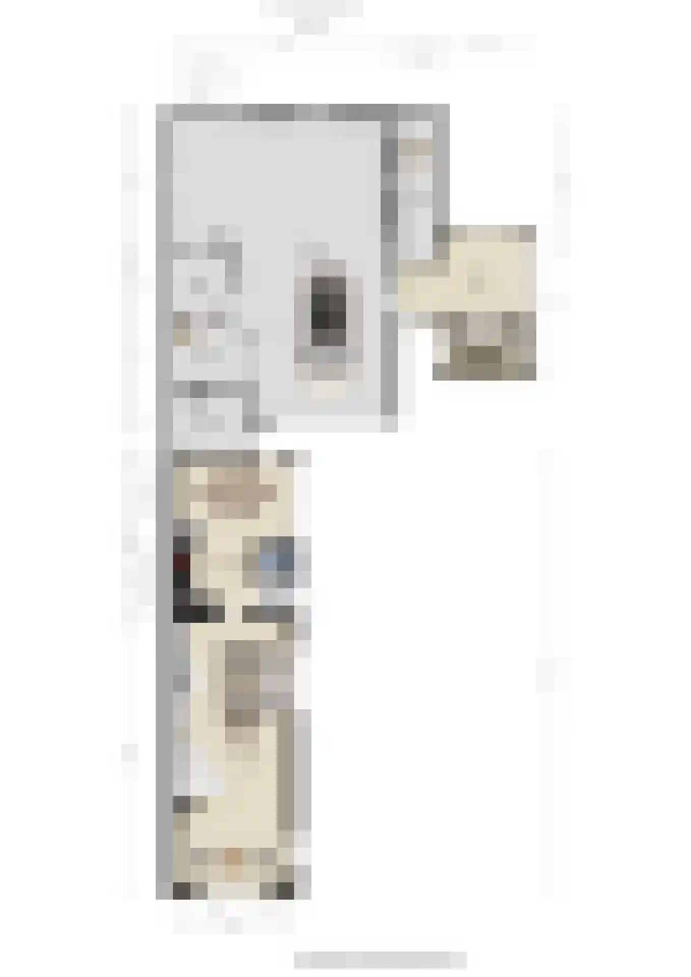 Groen van Prinstererstraat 24 Velp thumbnail 55