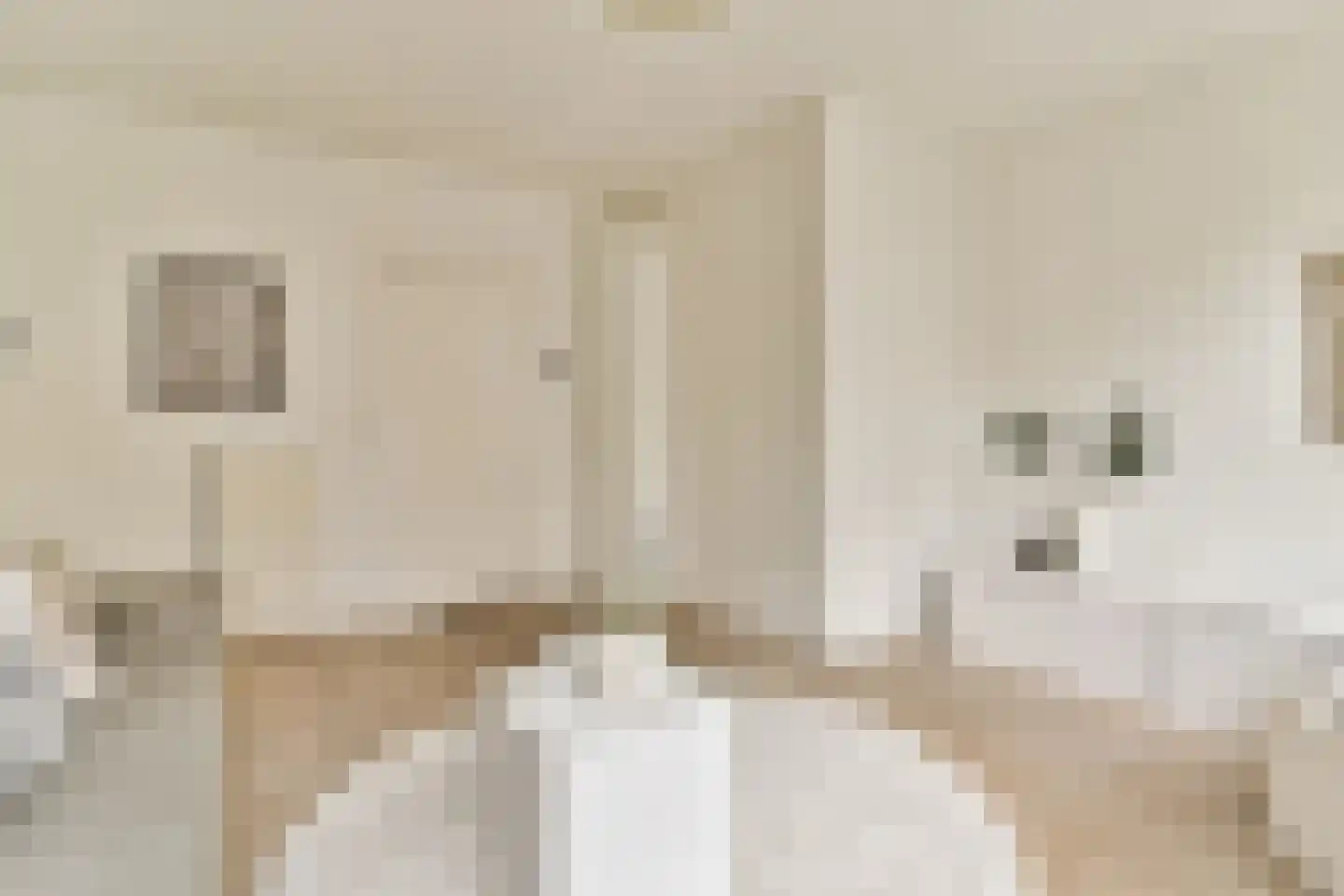 Groen van Prinstererstraat 26 1 Amsterdam thumbnail 7