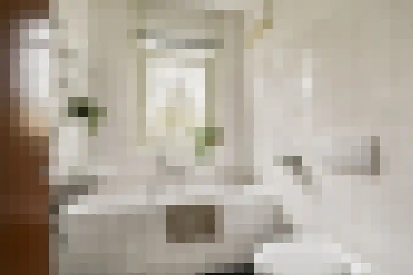 Groen van Prinstererstraat 26 H Amsterdam thumbnail 22